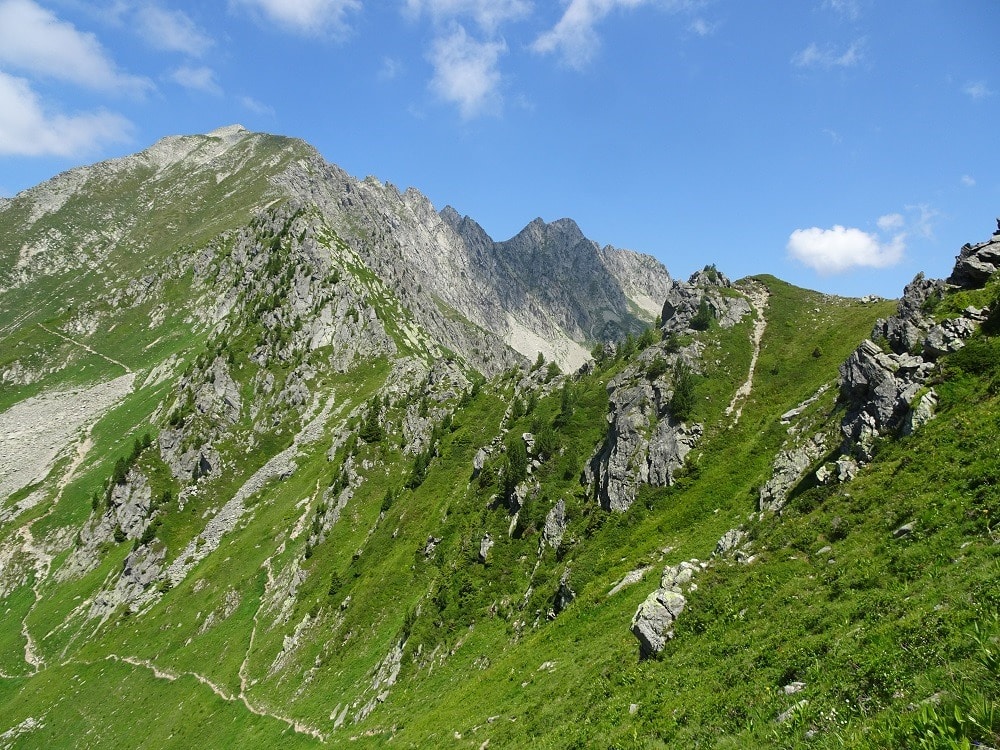 Col d'Arpingon