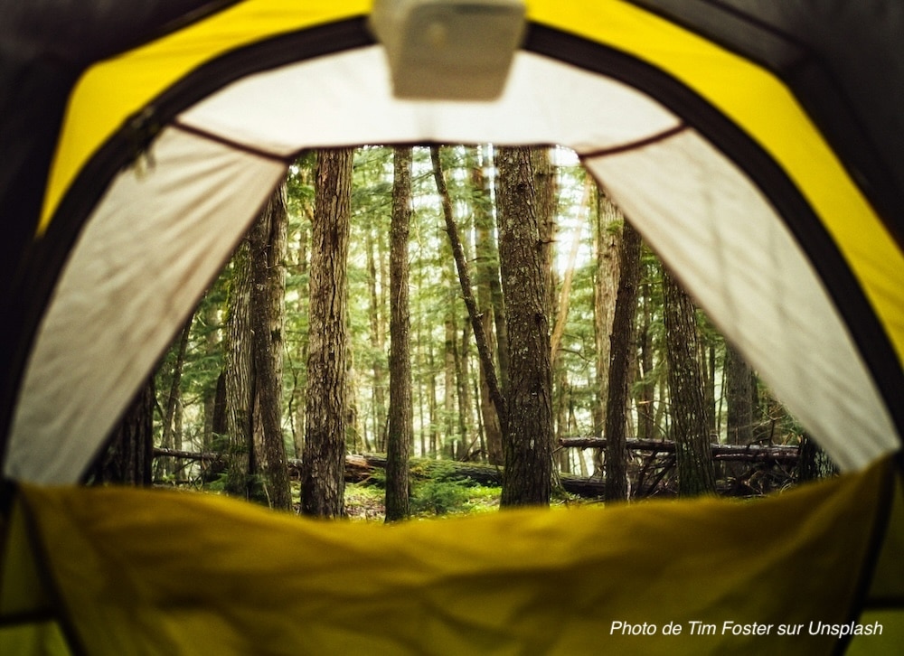 Camper sous les arbres : un bon moyen de limiter les effets du froid et de l'humidité.